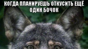 Не ложитесь на бочок (Древняя мудрость)