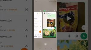 XRecorder_20250512_01.mp4