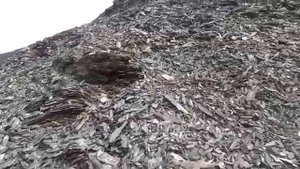 Путешествие через Верхоянский хребет.