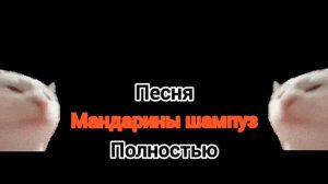 песня мандарины шампуз полностью