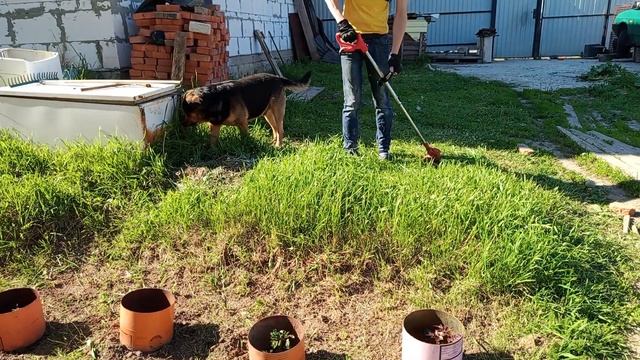 Что может аккумуляторный китайский триммер за 3000р. #об смотреть онлайн