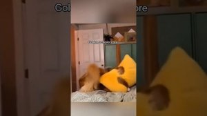Угарные животные! 😁😄😁