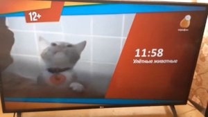 праздничная заставка телеканала сарафан (1мая2024года) (