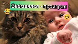 Смешные видео | приколы с животными #5