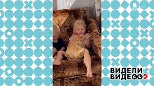 Кот Персик. Видели видео? Фрагмент выпуска от 18.05.2025