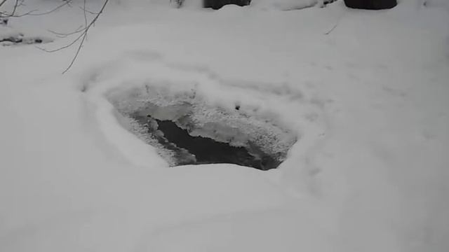 Лыжный Поход 23.02.2018