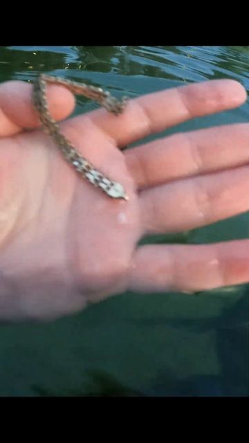 Вау, офигенный серебряный браслет, да какой большой!) #? смотреть онлайн