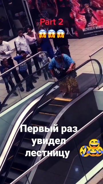 Первый раз увидел лестницу в центре смотреть онлайн