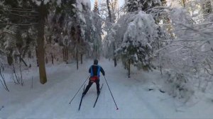 Худеем на лыжах после новогодних праздников.
