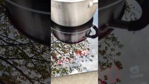 Китайский бензиновый генератор SuperGen WX950 ч.2