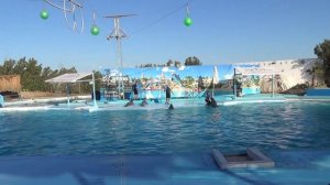 #Египет #Хургада это лучшее место которое обезательно нужно посетить