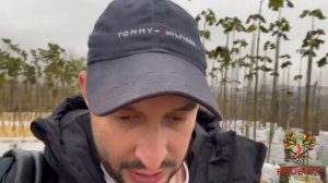 Поездка в питомник Павловнии в Ростовской области, Ро?