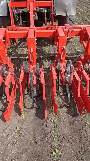 кмо Свекловичный смотреть онлайн