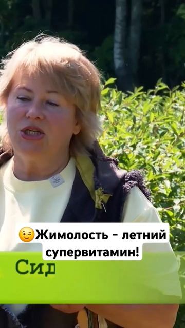 В чем польза жимолости?🤔 #дача #дачныесоветы #жимолос? смотреть онлайн