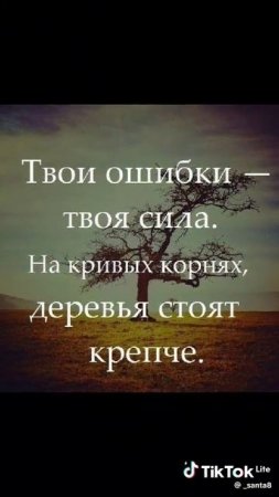 Деревья стоят крепче