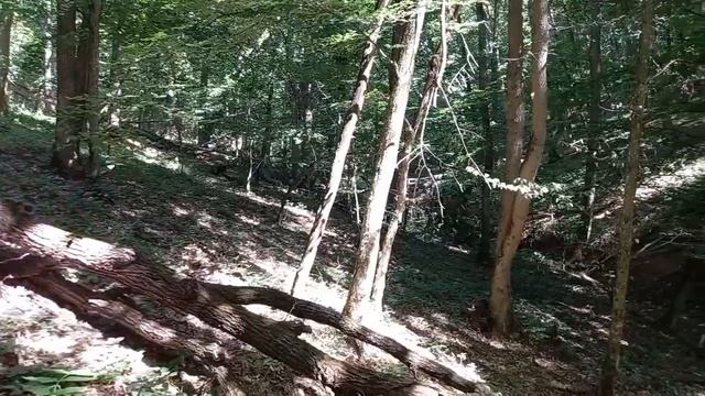 Поиск с металлоискателем ХР DEUS, древних артефактов! смотреть онлайн