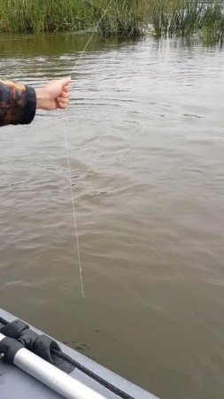 ЩУКА!!! РЫБАЛКА!!!