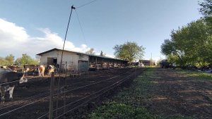 электропастух с сигнализатором, то чего мне не хватало