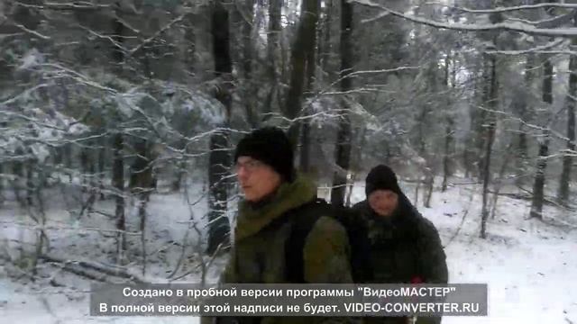 В зимнем лесу. смотреть онлайн