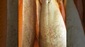 Балык форели холодного копчения.