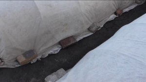 Участок перед заморозком