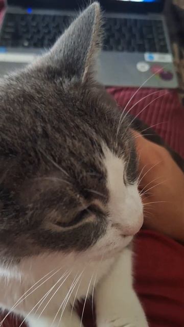 Барон считает, что смотреть без него нельзя ни ООН, ни ? смотреть онлайн