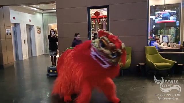 Китайский лев на мероприятие и встречу гостей в Москв? смотреть онлайн