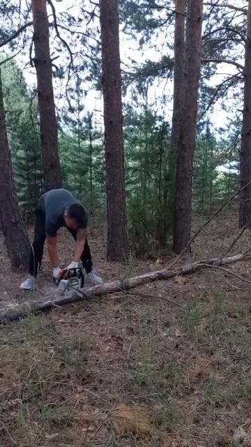 новые навыки😅 #счастьеесть #бесконечнолюблю #муж #бе? смотреть онлайн