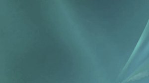 Windows Vista edit