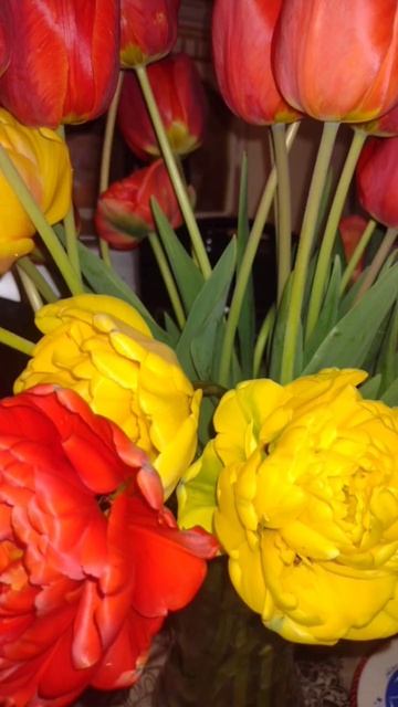 всё цветёт в апреле🙃 недели через 2 клубнику будем то? смотреть онлайн