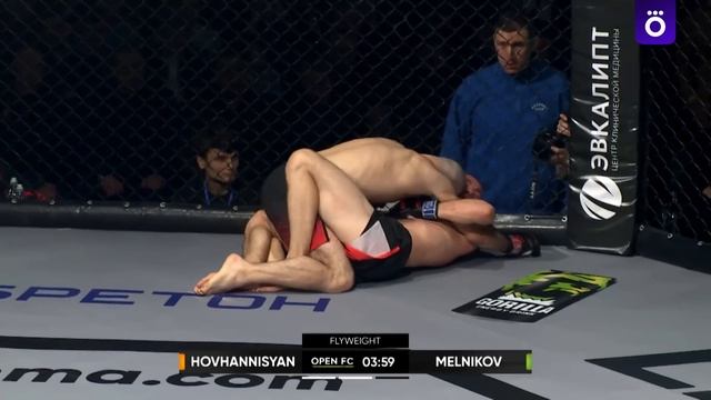 Размик Оганнисян vs Никита Мельников  OPEN FC 50