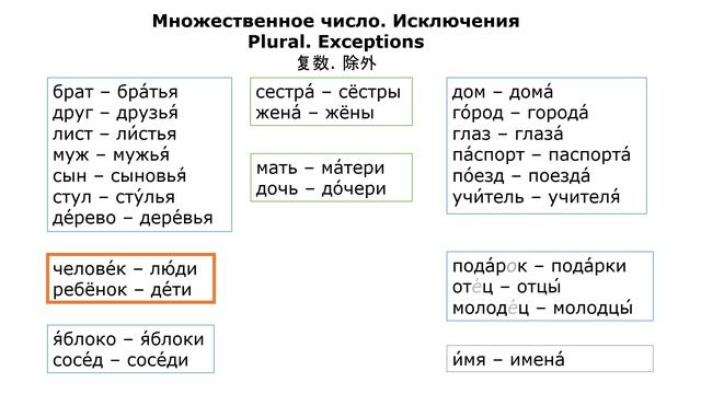 5) Множественное число имён существительных. Русский к