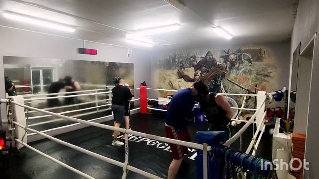 спаринги в Пересвет Реутов смотреть онлайн