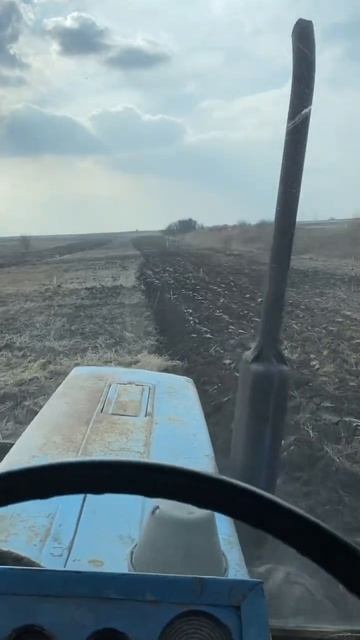 Весняна оранка😮😱🫣‼️‼️#мтз #плуг #оранка #весна смотреть онлайн