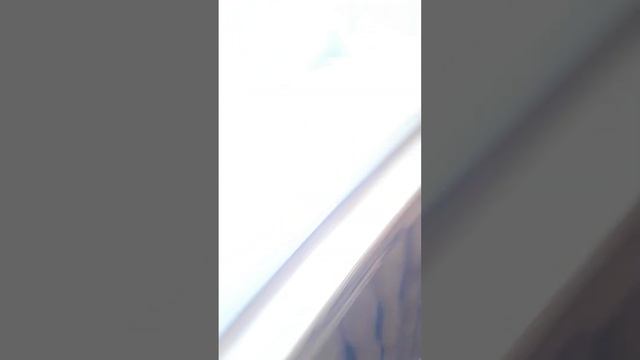 КОТ И ТОПОР (4) смотреть онлайн