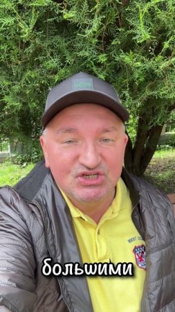 Про ветеринара