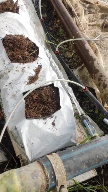 теплицы Абубакр,как регулировать клапан смотреть онлайн