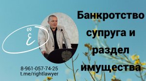 Раздел имущества супругов и банкротство: как продавать долю в общем имуществе.