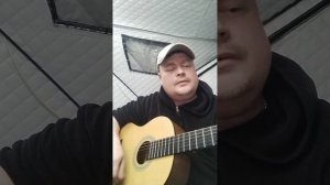 волки уходят в небеса / кавер