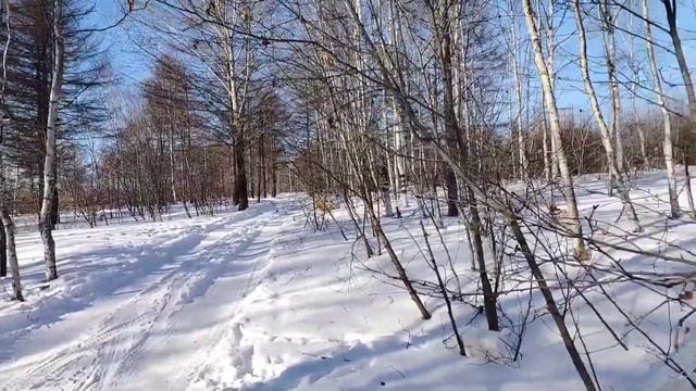 цель 2025 :подготовиться к массовой лыжной гонки и осво? смотреть онлайн