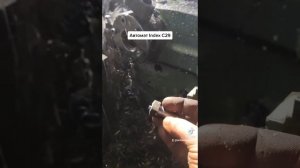 Токарный автомат Index C29.