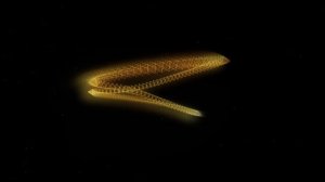 White Fox Music   The Long Journey