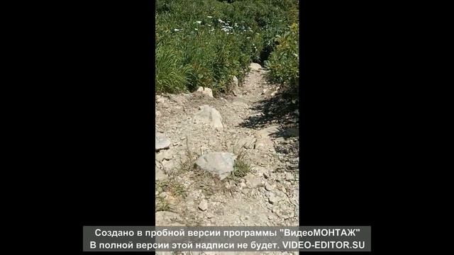 Поход к приюту Фишт июль 2023