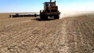 Настройка  игольчатой бороны (БИГ-15) в поле (2023 г.)