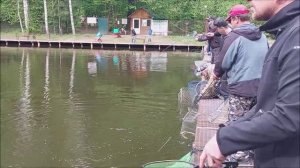 Форель продолжает хорошо отзываться на блёсны. Клёвое место, Лосиный остров, спорт-зона.