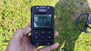 XP Deus 2 vs Minelab Equinox 800/900: Какой металлоискатель выбрать?