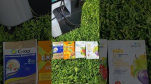 Какими препаратами обработать сад от болезней?