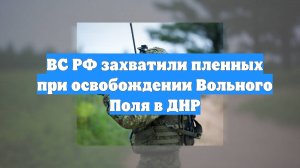 ВС РФ захватили пленных при освобождении Вольного Поля в ДНР