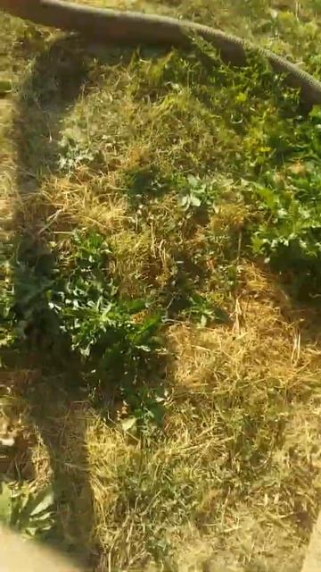 откачка уличного туалета смотреть онлайн