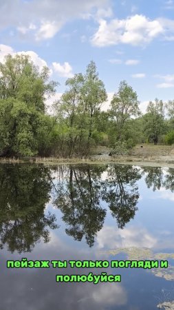Пейзаж! Ты только погляди